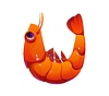 Cartoon underwater font sea shrimp letter U