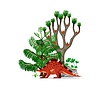 Wuerhosaurus prehistoric dinosaur character