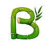 Asian nature bamboo piece font, typeset letter B | Stock Vector Graphics
