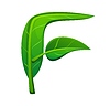 Шрифт Nature green leaf, весенняя наборная буква F | Векторный клипарт