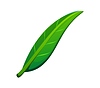 Vector clipart: Tree green leaf font, typeset punctuation slash