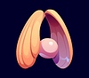 Sea seashell cartoon font typeset letter A