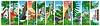 Vector clipart: Prehistoric dinosaur cartoon characters collage