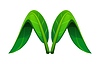 Vector clipart: Plant green leaf font, nature typeset letter M