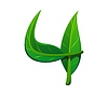Vector clipart: Nature green leaf font, eco typeset digit 4 four