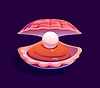 Cartoon pearl shell, underwater oyster conch