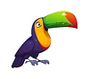 Brazil carnival party or festival toucan character