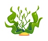 Vector clipart: Cartoon green seaweed plant with green leaves