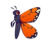 Vector clipart: Letter k kids animal alphabet as monarch butterfly