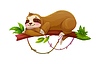 Vector clipart: Cartoon lazy sloth animal sleeping on tree branch