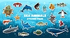 Vector clipart: Cartoon sea animals stickers, underwater landscape