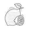 Vector clipart: Ripe lemon citrus fruit kids memo note frame