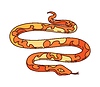 Cartoon groovy wild west western coiled snake