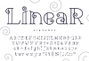 Thin line font alphabet, curly swirl letters type