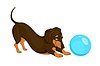Cartoon dachshund dog puppy playing with ball