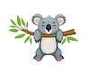 Cartoon koala bear character hanging on eucalyptus