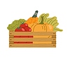 Wooden crate filled with fresh vegetable harvest