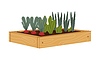 Wooden garden bed filled with soil and vegetables | Stock Vector Graphics