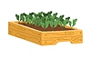Wooden raised bed filled with vegetable plants | Stock Vector Graphics