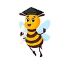 Vector clipart: Graduated honey bee funny cartoon character
