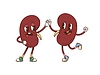 Cartoon groovy kidneys body organ characters