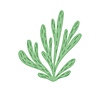 Vector clipart: Cartoon underwater algae seaweed or sea kelp