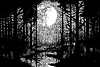 Vector clipart: Dark forest landscape with full moon in retro