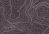 Vector clipart: Topographic map background with altitude lines.