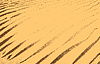 Vector clipart: Plam leaves on tropical beach sand background in