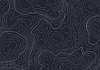 Topographic map background with altitude lines.