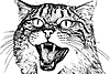 Vector clipart: Black and white an angry cat with open mouth and