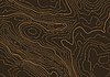 Vector clipart: Topographic map background with altitude lines.