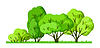 Vector clipart: trees with leaves. Natural summer or spring image