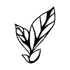 Vector clipart: leaves. Spring or summer stylized foliage