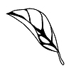 Vector clipart: leaf. Spring or summer stylized foliage