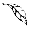 Vector clipart: leaf. Spring or summer stylized foliage
