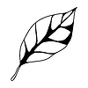 Vector clipart: leaf. Spring or summer stylized foliage