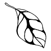 Vector clipart: leaf. Spring or summer stylized foliage