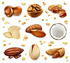 Vector clipart: Nuts in shell, icon set