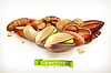 Vector clipart: Nuts,