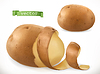 Vector clipart: Potato peelings. Curl. 3d realistic icon