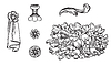 Vector clipart: Set of hand drawing design element vintage