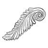 Vector clipart: Decorative hand drawing scroll acanthus leaf