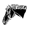 Silueta negra abstracta de la cabeza de caballo | Ilustración vectorial