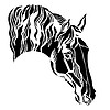 Cabeza de caballo negro de perfil | Ilustración vectorial