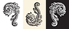 Vector clipart: Floral vintage design element and monogram