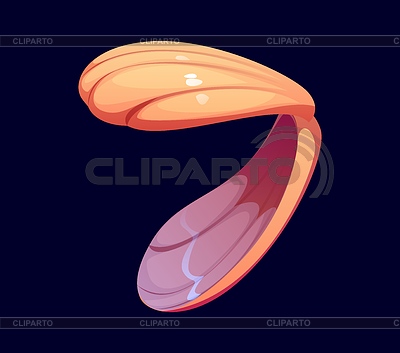 Composición tipográfica de fuente de dibujos animados de concha marina dígito 7 siete | Ilustración vectorial de stock |ID 7643662