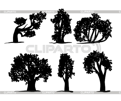 Baum-Schattenbilder eingestellt | Stock Vektorgrafik |ID 5320591