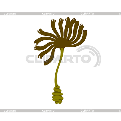 Algas verdes subacuáticas algas marinas, planta marina de acuario | Ilustración vectorial de stock |ID 7469546
