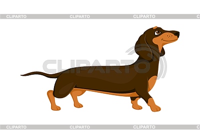 Perro salchicha de dibujos animados o cachorro con hocico feliz | Ilustración vectorial de stock |ID 7647381